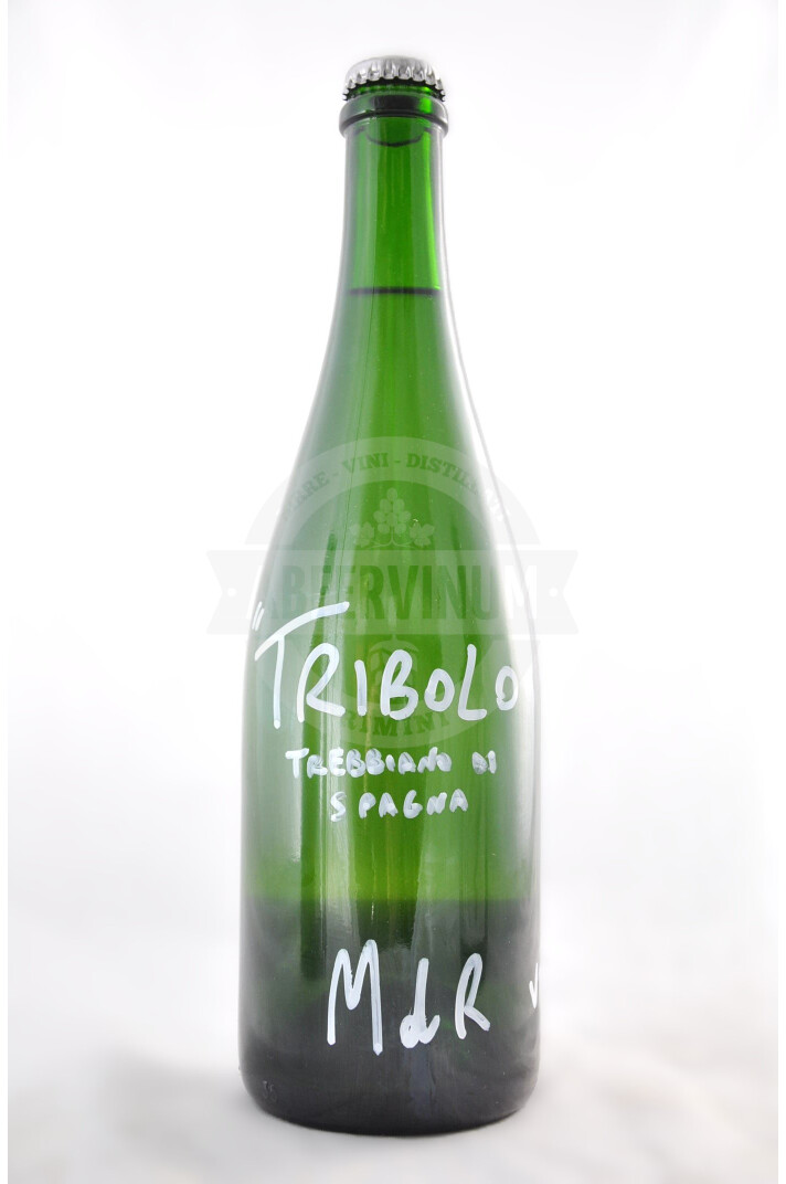 Vino Tribolo Bianco Frizzante dell'Emilia IGT 2022 - Marchesi di Ravarino